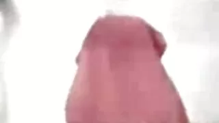 Busto Milf Milf assistir vídeo de pornô caseiro Ava Addams adora ser fodida por trás